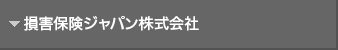 Person and Loss Insurance ??? ??? ??? Co, Ltd